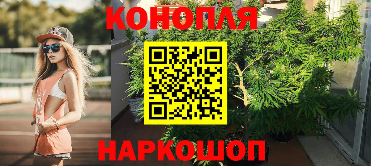 Конопля THC 21%  Шишки марихуана Amnesia  Шишки марихуана Bruce Banner  Вход с VPN  Новокубанск  Конопля тримм 